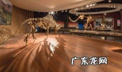 博物馆是什么意思英语 博物馆日是什么意思