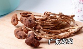 茶树菇的营养价值及功效与禁忌 茶树菇的营养价值