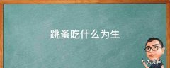跳蚤吃什么为生 跳蚤吃什么?