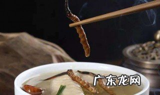 冬虫夏草适合和什么一起泡水喝 冬虫夏草适合和什么一起泡水喝呢