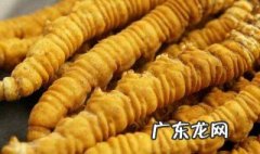 冬虫夏草是什么 冬虫夏草是什么虫