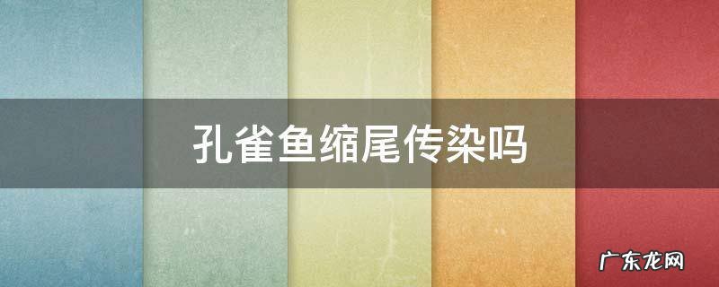 孔雀鱼缩尾怎么回事 孔雀鱼缩尾传染吗