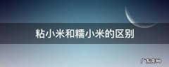 粘小米和糯小米的区别 粘小米和糯小米的区别,哪个煮粥好吃些?