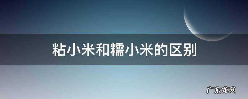 粘小米和糯小米的区别 粘小米和糯小米的区别,哪个煮粥好吃些?
