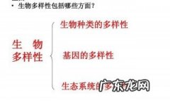 高中生物多样性包括哪三个层次 生物多样性包括哪三个层次