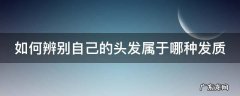 如何辨别自己的头发属于哪种发质 如何辨别自己的头发属于哪种发质呢