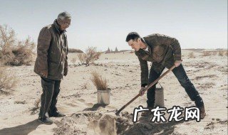 胡歌灰头土脸种树怎么回事