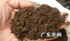 种菜用什么做基肥比较好 种菜用什么做基肥