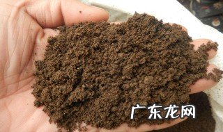 种菜用什么做基肥比较好 种菜用什么做基肥