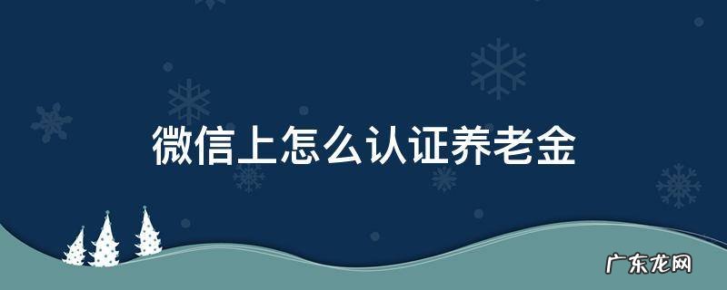 微信上如何养老认证 微信上怎么认证养老金