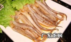 鱿鱼属于鱼类吗? 以下不属于鱼类的动物是