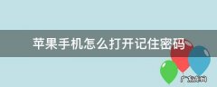 苹果手机怎么打开记住密码 苹果手机怎么开启记住密码