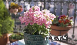 在养花时如何使用磷肥施肥 在养花时如何使用磷肥