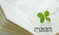 时光与你都很甜原著小说免费阅读 时光与你都很甜原著小说