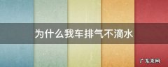 为什么我车排气不滴水 车排气不滴水正常吗