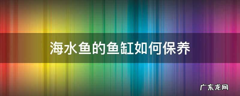 海水鱼缸平时怎么维护 海水鱼的鱼缸如何保养
