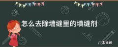 怎么去除墙缝里的填缝剂 砖缝里的填缝剂如何清除