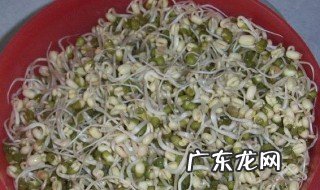 绿豆泡一晚上发芽了还能煮吗 绿豆泡一个晚上发芽了还能吃吗