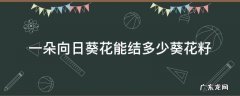 一朵向日葵花能结多少葵花籽公务员 一朵向日葵花能结多少葵花籽