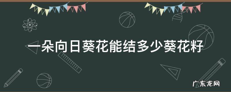 一朵向日葵花能结多少葵花籽公务员 一朵向日葵花能结多少葵花籽