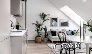 家里摆些什么好看 家里摆些什么好看的东西