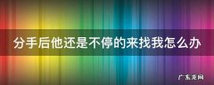 分手后他还是不停的来找我怎么办 分手后他还是不停的来找我怎么办呀