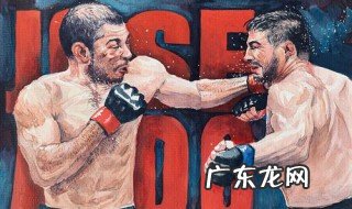 mma和ufc有什么区别 mma和ufc哪个含金量高