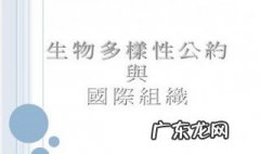 生物多样性公约是哪一年生效的? A. 1993年 生物多样性公约是哪一年生效的