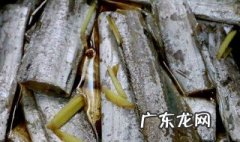 炸带鱼的最简单做法 炸带鱼的最简单做法视频