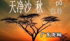 青山绿水下一句是什么 青山绿水下一句是什么金山银山