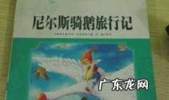 六年级骑鹅旅行记梗概100字 六年级骑鹅旅行记梗概