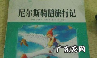 六年级骑鹅旅行记梗概100字 六年级骑鹅旅行记梗概