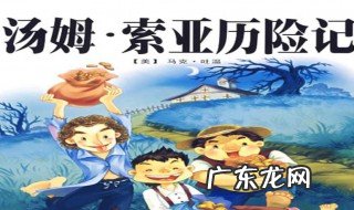 《汤姆索亚历险记》梗概 汤姆索亚历险记梗概作文评语