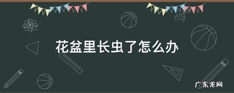 花盆里长了虫子怎么办 花盆里长虫了怎么办