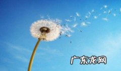 人到中年人生感悟的句子简短的 人生感悟的句子简短的