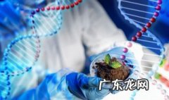 高中生物必修一知识点总结人教版 高中生物必修一知识点总结人教版免费