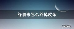 舒俱来怎么养掉皮杂 舒俱来皮杂是怎么养掉的