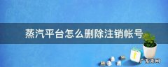 蒸汽平台怎么删除注销帐号 如何注销蒸汽平台账号