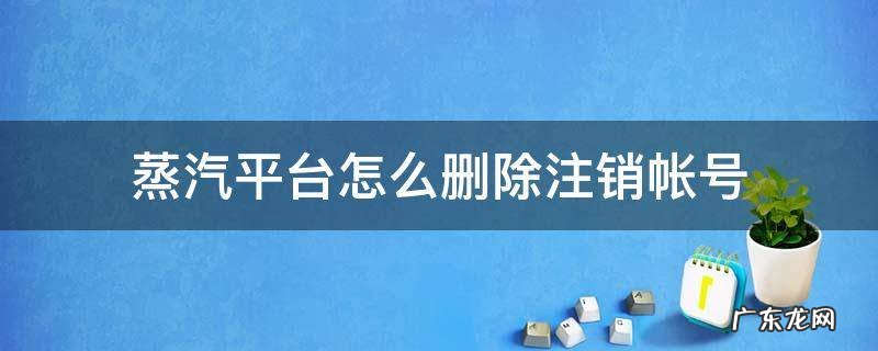 蒸汽平台怎么删除注销帐号 如何注销蒸汽平台账号