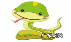 白天看见蛇是什么兆头 白天看见蛇是什么兆头,黑绿色的蛇