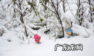 下雪的诗句 下雪的诗句发朋友圈