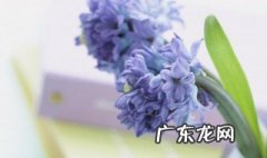 孩子生日妈妈感慨的话 孩子生日妈妈感慨的话,简短独特剖腹产