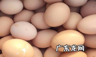 鸡蛋新鲜的表现 鸡蛋很新鲜的新鲜是什么意思