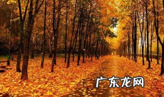 秋天的唯美句子10字 秋天的唯美句子