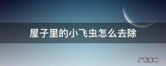 怎么去除屋里面的小飞虫 屋子里的小飞虫怎么去除