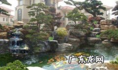 小假山养什么鱼好养活 小假山养什么鱼好