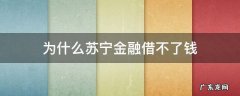苏宁金融不能借钱了 为什么苏宁金融借不了钱