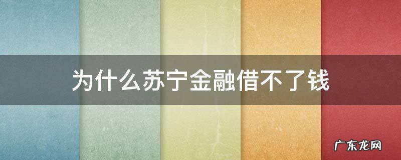苏宁金融不能借钱了 为什么苏宁金融借不了钱