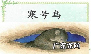 寒号鸟是什么 寒号鸟是什么样子