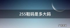 255鞋码是多大码女鞋 255鞋码是多大码